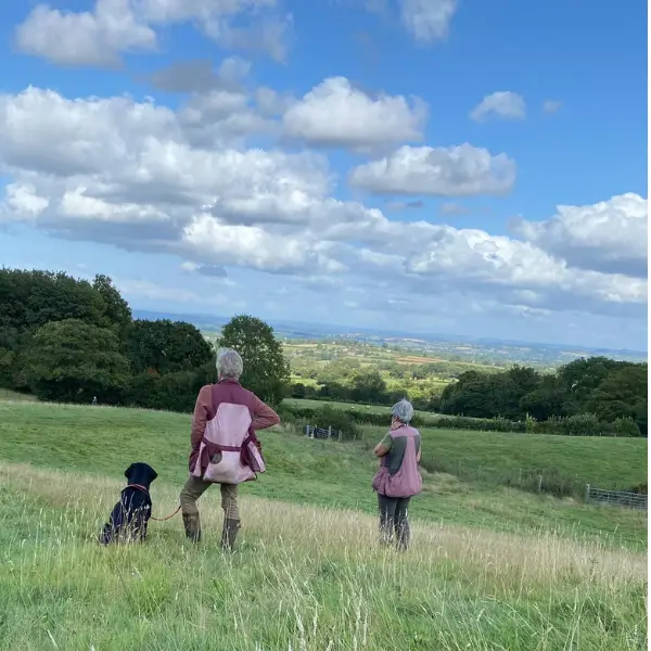 Help with your Dog Gundog skills
