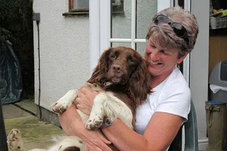 Dog Help - Dougie 2